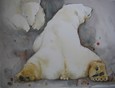 Ourson et ours polaire å Moscou zoo 