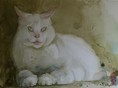 The cat with the moonstone eyes '13 38x28cm 
