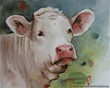 portrait d\'une vache blanche 0\'8 aquarelle 50/60cm